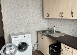 Сдается 1-комнатная квартира, 41 м2, Красноярск, улица Елены Стасовой, 48А, ЖК Плодово-Ягодный