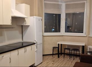 Сдача в аренду 1-ком. квартиры, 49 м2, Москва, Байкальская улица, 18к2, Байкальская улица