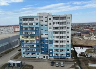 Продам 1-ком. квартиру, 42.8 м2, село Подстёпки, Полевая улица, 42/3, ЖК Альбатрос