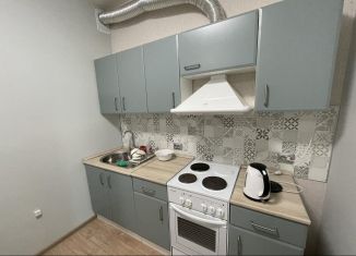 Сдается квартира студия, 28.2 м2, Пермь, улица Василия Татищева, 4, ЖК Арсенал