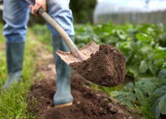 Продаю участок, 10 сот., Смоленская область