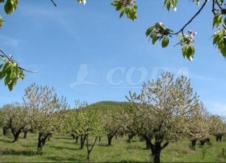 Продаю земельный участок, 100 сот., поселок городского типа Манас