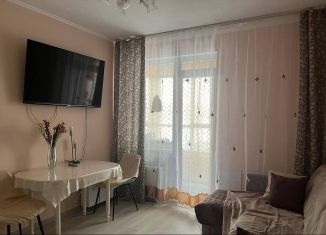 Сдается квартира студия, 24 м2, Санкт-Петербург, Русановская улица, 20к3, муниципальный округ Народный