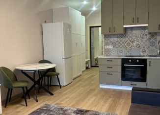 Сдам квартиру студию, 28 м2, Реутов, Носовихинское шоссе, 43, ЖК Новокосино-2