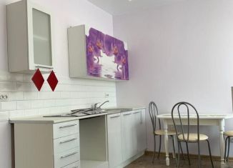 Сдам квартиру студию, 30 м2, Санкт-Петербург, Парфёновская улица, 11к1, метро Московские ворота