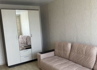 Сдача в аренду 1-ком. квартиры, 28 м2, Саратов, Брянская улица, 16, Заводской район