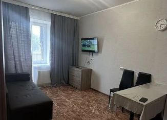 Двухкомнатная квартира в аренду, 33 м2, Люберцы, улица Дружбы, 1к2, ЖК Люберцы 2017