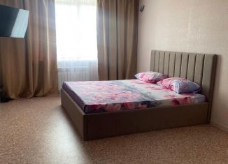 Сдается в аренду 1-комнатная квартира, 40 м2, Саратов, Кавказская улица, 22, Заводской район