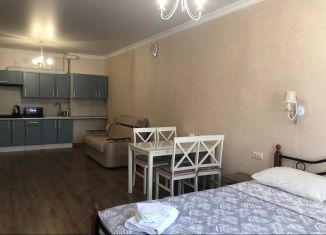 Сдам 1-ком. квартиру, 50 м2, Анапа, проезд Золотой Берег, 2В