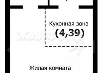 Продам квартиру студию, 38.2 м2, Новосибирск, улица Николая Сотникова, 16