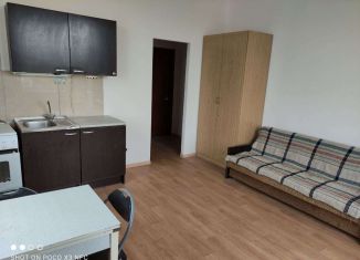 Квартира в аренду студия, 27 м2, Ковров, улица Челюскинцев, 176-178