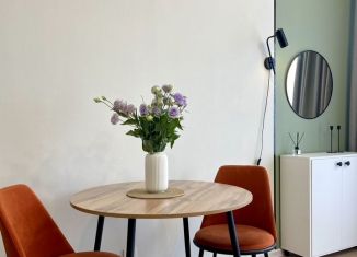 Сдаю квартиру студию, 25 м2, деревня Новое Девяткино, Главная улица, 8к1