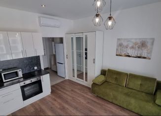 Сдам квартиру студию, 23 м2, Москва, Сельскохозяйственная улица, 39, ЖК Грин Парк