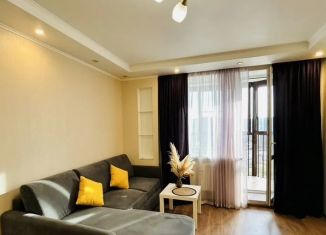 Аренда квартиры студии, 24.8 м2, посёлок Парголово, улица Михаила Дудина, 10