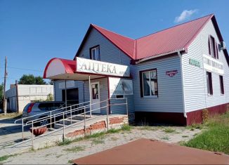 Сдам помещение свободного назначения, 210 м2, рабочий посёлок Елань, улица Чапаева, 64