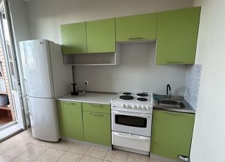 Сдаю в аренду 1-комнатную квартиру, 35 м2, деревня Новое Девяткино, Арсенальная улица, 4, ЖК Девяткино