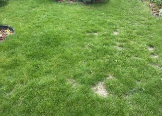 Продается участок, 33.3 сот., Пятигорск