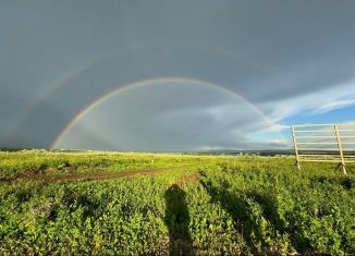 Участок на продажу, 10 сот., деревня Мокино, Вишнёвая улица