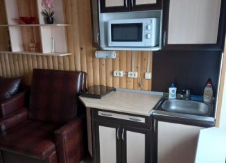 Сдам в аренду комнату, 21 м2, Ленинградская область, деревня Коккорево, 9А