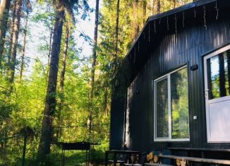 Аренда дома, 30 м2, Пермь, СНТ Сад Химики № 80, 59А