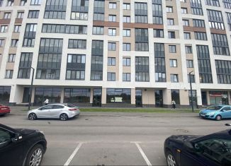 Продается помещение свободного назначения, 74 м2, Кудрово, проспект Строителей, 1к1