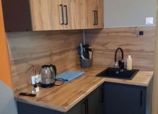 Сдача в аренду квартиры студии, 16.7 м2, Карелия, Ладожская улица, 13