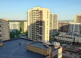 Сдается квартира студия, 24 м2, деревня Новое Девяткино, Флотская улица, 9