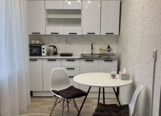 Сдача в аренду 1-комнатной квартиры, 36 м2, Биробиджан, Широкая улица, 4к1, микрорайон А