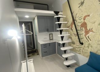 Продажа квартиры студии, 16.6 м2, Санкт-Петербург, 3-я Красноармейская улица, 2/31, муниципальный округ Измайловское