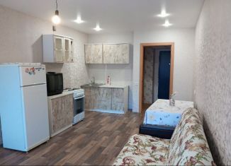 Продается квартира студия, 28.1 м2, село Михайловка, Сливовая улица, 2