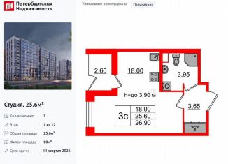 Квартира на продажу студия, 25.6 м2, Санкт-Петербург, метро Озерки