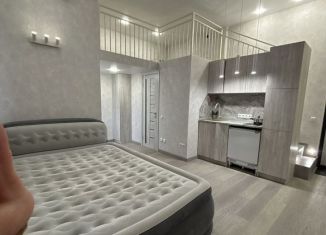 Сдам квартиру студию, 40 м2, Сочи, Береговая улица, 5, микрорайон Старая Мацеста