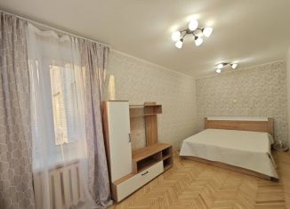 Сдам в аренду 1-ком. квартиру, 28.8 м2, Санкт-Петербург, проспект Ветеранов, 151к1, муниципальный округ Сосновая Поляна