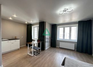 1-комнатная квартира на продажу, 30.4 м2, Республика Башкортостан, улица Гази Загитова, 11