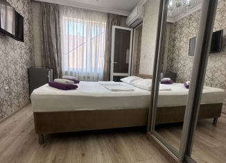 Сдается в аренду комната, 25 м2, Сочи, улица Богдана Хмельницкого, 53А, микрорайон Центральный