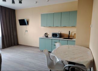 2-комнатная квартира в аренду, 45 м2, Бурятия, улица Жердева, 3В