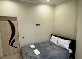Сдаю в аренду 2-комнатную квартиру, 43.4 м2, Сочи, Орбитовская улица, 17А