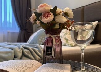 Сдается в аренду 2-ком. квартира, 42 м2, Пермь, улица Карла Модераха, 6, ЖК Арсенал