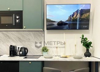 Продается квартира студия, 16.5 м2, Санкт-Петербург, переулок Ульяны Громовой, 5, Центральный район