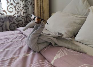 Сдается в аренду 1-ком. квартира, 35 м2, Вологда, Планерная улица, 18