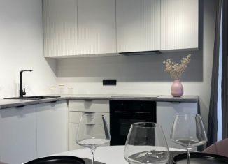 Продаю 2-ком. квартиру, 41 м2, посёлок Шушары, Московское шоссе, 256к8, ЖК Вариант