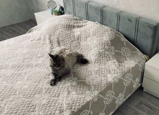 Сдам в аренду 1-комнатную квартиру, 30.6 м2, Томск, улица Котовского, 14
