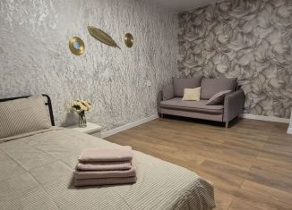 1-ком. квартира в аренду, 32 м2, Великий Новгород, улица Германа, 9