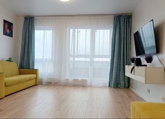 Сдается в аренду квартира студия, 28 м2, деревня Новое Девяткино, Главная улица, 8