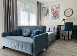 Сдается в аренду квартира студия, 29 м2, Сочи, улица Искры, 88к6