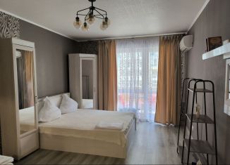 Квартира в аренду студия, 42 м2, Сочи, Кирпичная улица, 2к2, ЖК Триумф