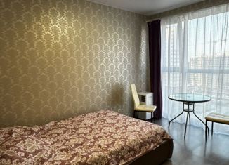 Продажа квартиры студии, 27 м2, деревня Сапроново, Калиновая улица, 3, ЖК Первый Квартал