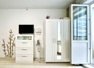 Продается квартира студия, 22 м2, Санкт-Петербург, метро Озерки, Парашютная улица, 44к1