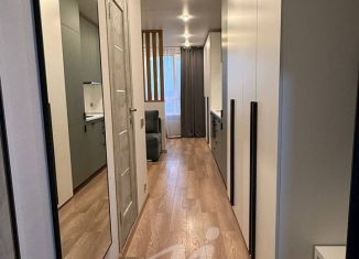 Сдается однокомнатная квартира, 28 м2, Люберцы, улица 8 Марта, 48к1, ЖК Гоголь Парк