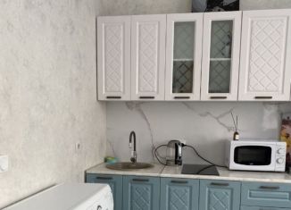 Сдам в аренду квартиру студию, 27 м2, Новосибирск, 1-я Шоссейная улица, 54